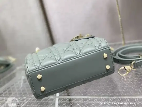 Tony Luxuries LADY diro-17CM 0414